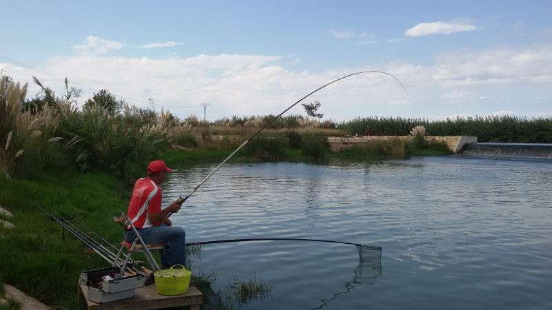 XXIII Campeonato nacional de fiestas de Alaquàs 2017 de Pesca deportiva. EPDA XXIII Campeonato nacional de fiestas de Alaquàs 2017 de Pesca deportiva. EPDA