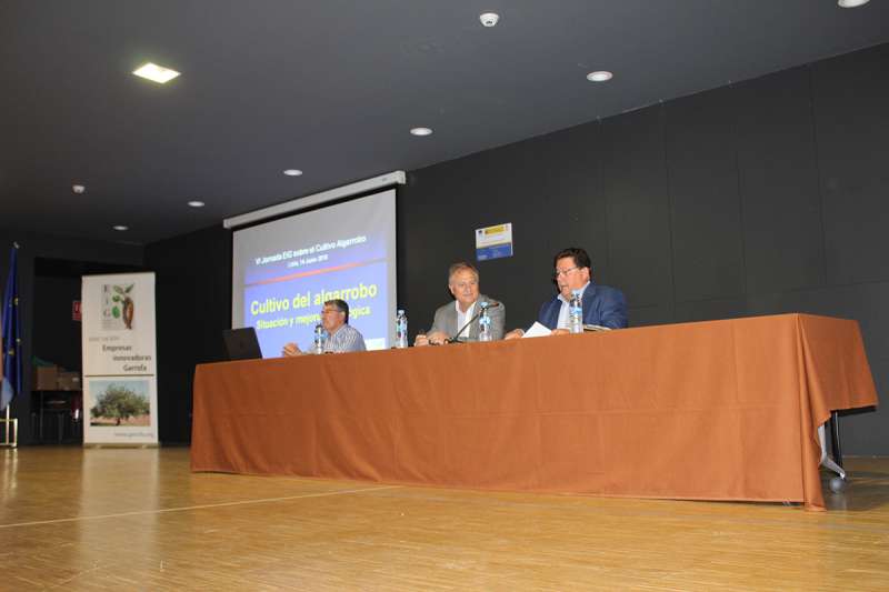 Llíria acoge la VI Jornada del Fomento y Mejora del Cultivo del Algarrobo Llíria acoge la VI Jornada del Fomento y Mejora del Cultivo del Algarrobo