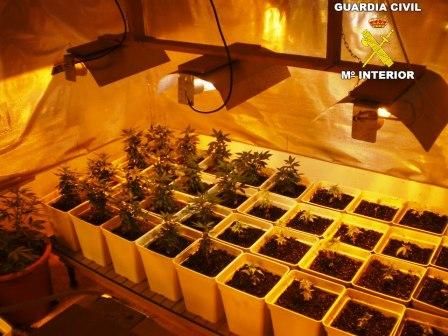 Laboratorios de marihuana desmantelados por la Guardia Civil. Foto EPDA