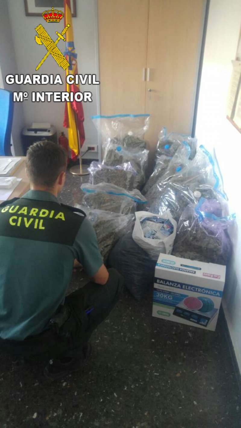 Marihuana requisada en la operación Marihuana requisada en la operación