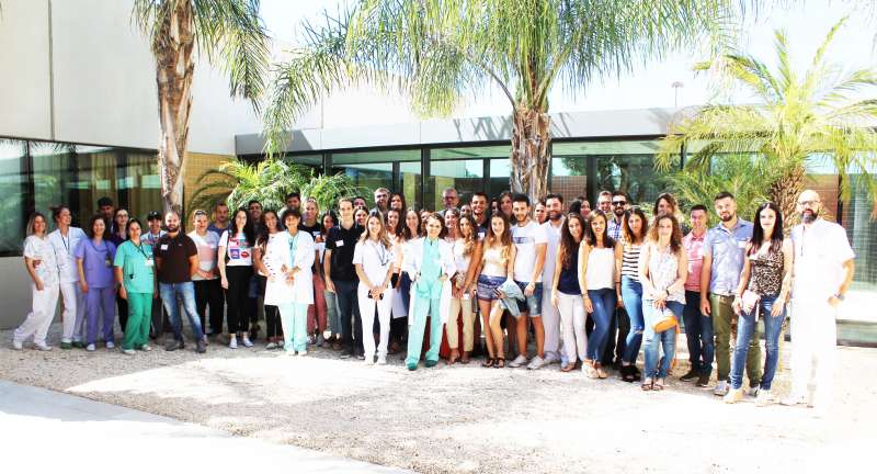 Pie de foto Pie de foto