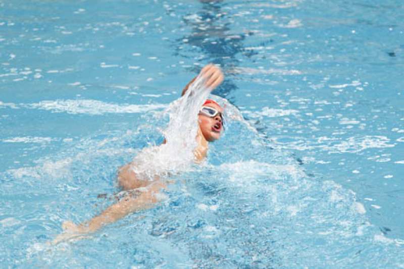 La Diputación colabora con las actividades de natación. La Diputación colabora con las actividades de natación.
