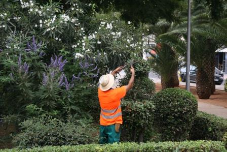 Un operario de Gestión y Servicios Paterna haciendo labores de jardinería. FOTO: EPDA. Un operario de Gestión y Servicios Paterna haciendo labores de jardinería. FOTO: EPDA.