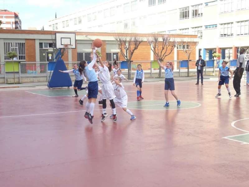 Equipo alevín del UBF Torrent contra Jesuitas. EPDA Equipo alevín del UBF Torrent contra Jesuitas. EPDA