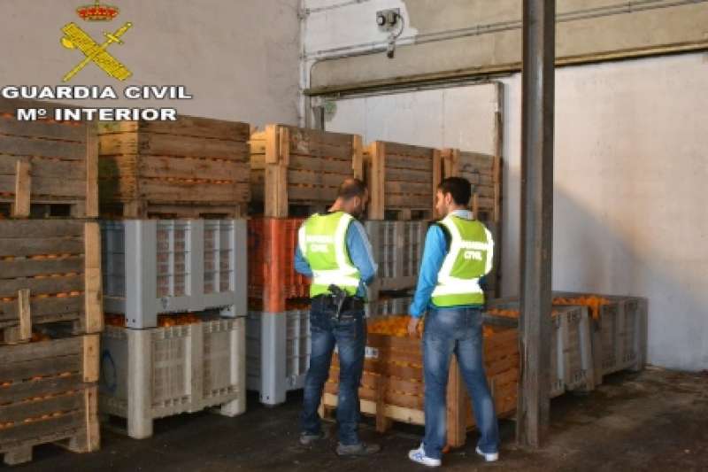 Cajas de naranjas decomisadas por la Guardia Civil. EPDA Cajas de naranjas decomisadas por la Guardia Civil. EPDA