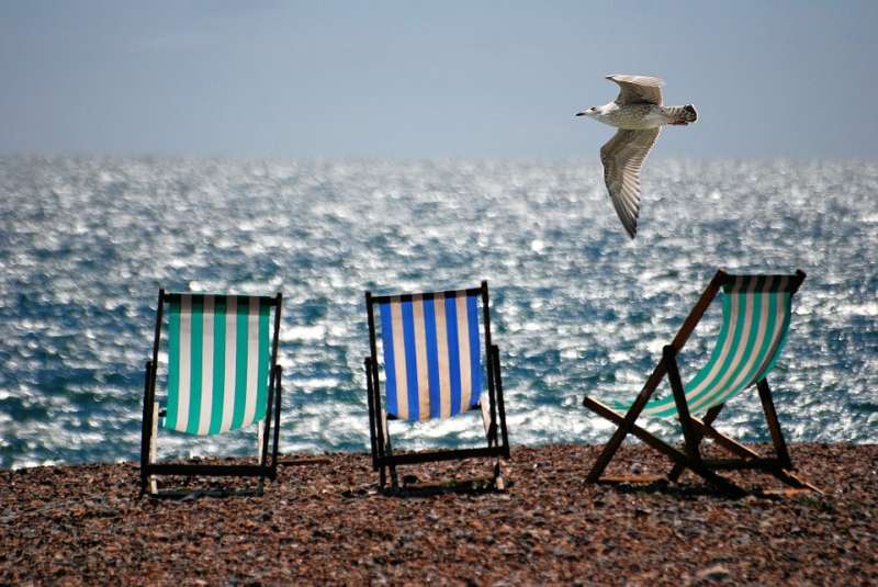 Una gaviota sobrevuela una playa. EPDA Una gaviota sobrevuela una playa. EPDA