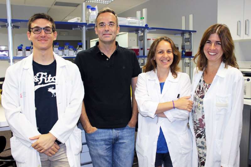 Integrantes del Instituto de Investigación Sanitaria La Fe Integrantes del Instituto de Investigación Sanitaria La Fe