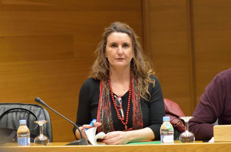La socialista Mercedes Caballero. EPDA La socialista Mercedes Caballero. EPDA