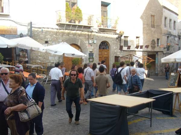 Otro grupo de turistas y profesionales de las Jornadas Europeas de Patrimonio en el casco hist�rico de Sagunto. EPDA