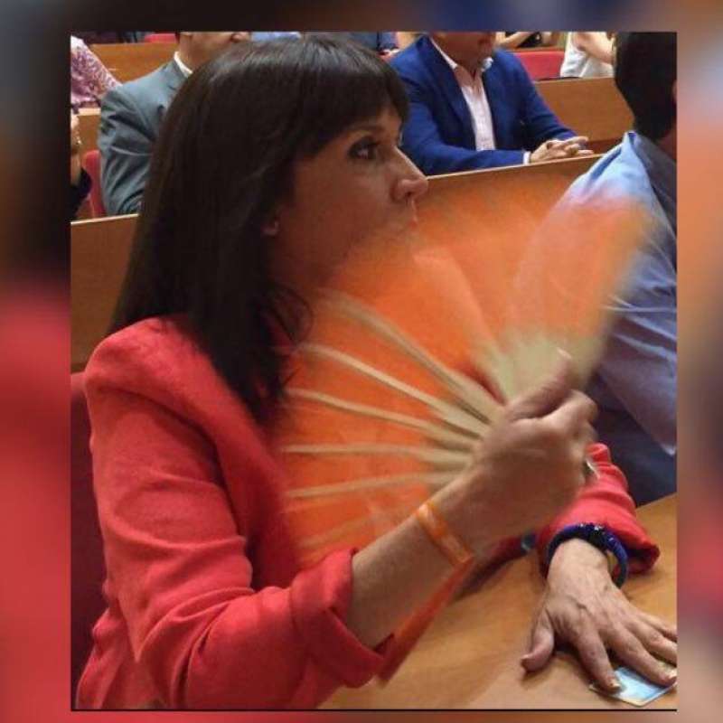 María Dolores Jiménez, activa concejala en el Consistorio de Valencia. FOTO EPDA María Dolores Jiménez, activa concejala en el Consistorio de Valencia. FOTO EPDA