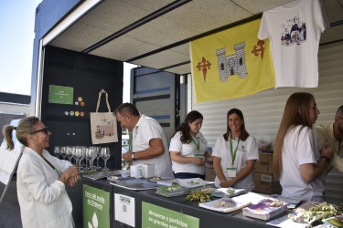 Imagen galería II Feria del Aceite de Enguera - 8429 | El Periódico de Aquí