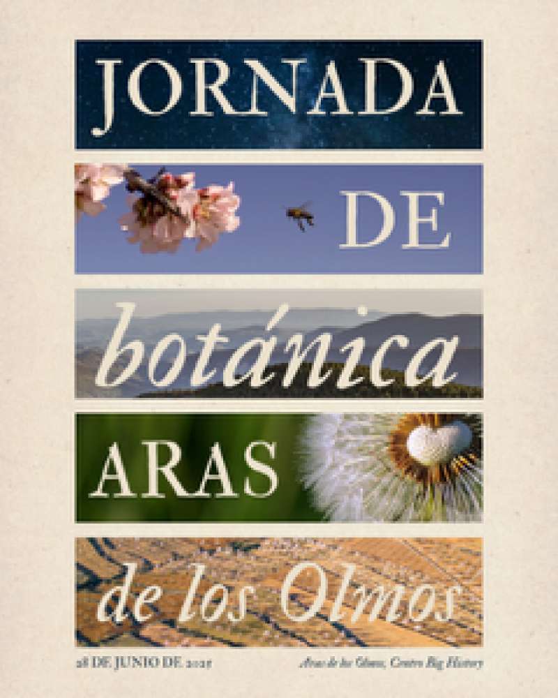 Cartel de la jornada. EPDA