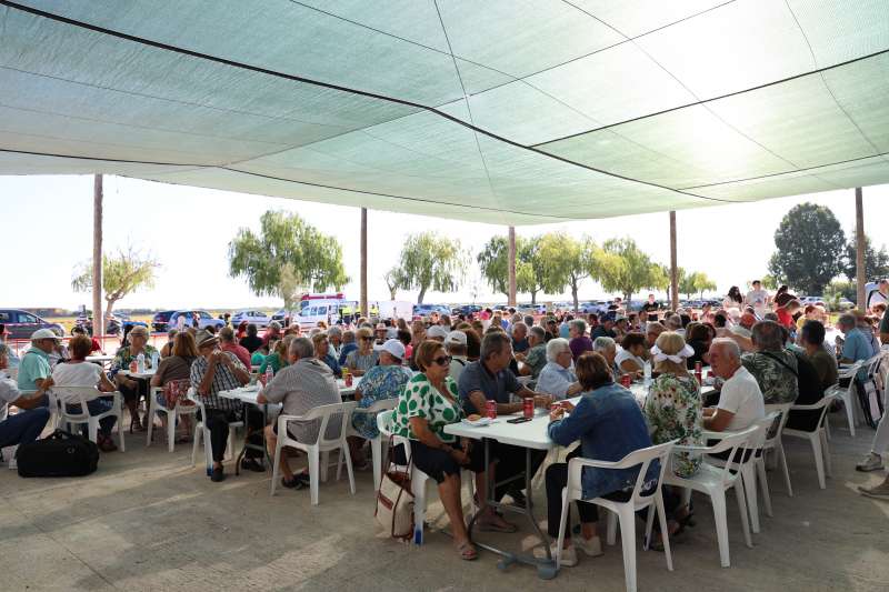 Lesmorzar popular al Port de Catarroja. EPDA