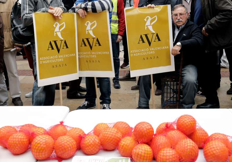 Imagen de archivo de una protesta de la Asociación Valenciana de Agricultores (AVA) por la crisis del sector. EFE/Juan Carlos Cárdenas
