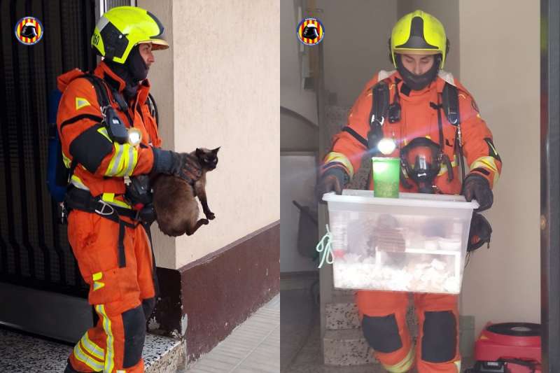 Bombers del Consorci Provincial de València rescaten mascotes en un incendi de vivenda a Alzira. / EPDA