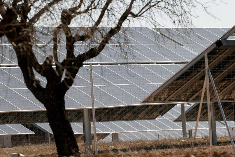 Paneles solares en un campo de Requena (Valencia) EFE/Kai FÃ¶rsterling/Archivo