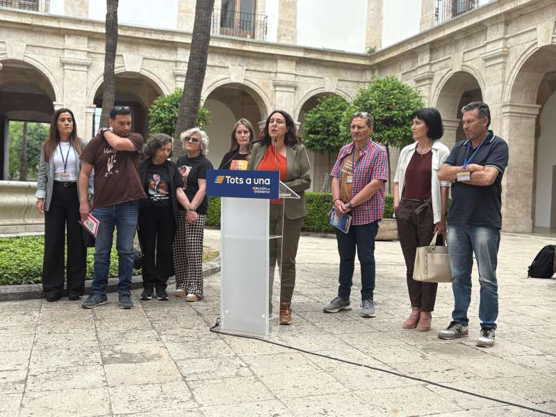 Representantes de las tres asociaciones de damnificados por la DANA en el Palacio del Temple a las 15 horas. J. C.