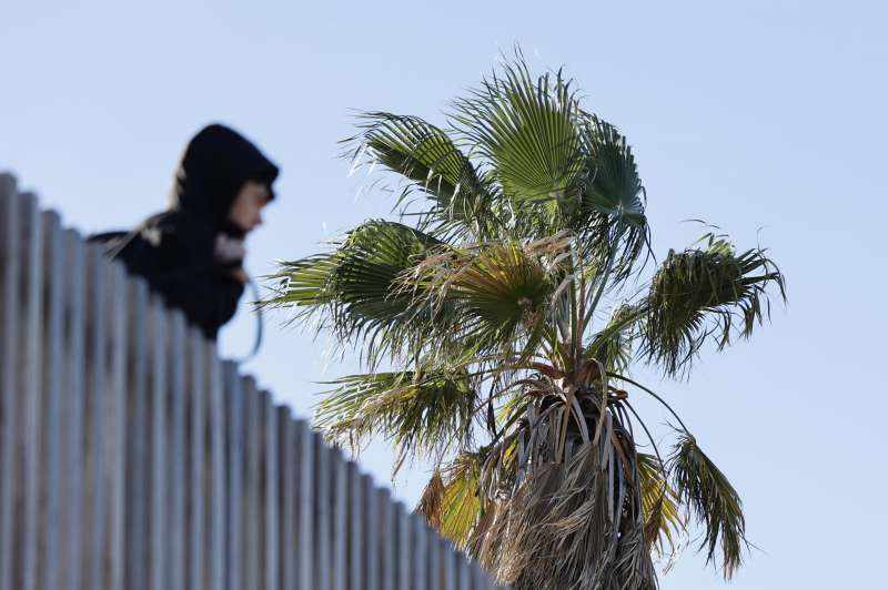 Las hojas de una palmera se mueven a causa del fuerte viento. EFE Ana EscobarArchivo
