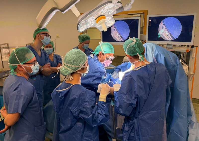 Alumnos durante el curso sobre cirug�a de hombro.  EPDA