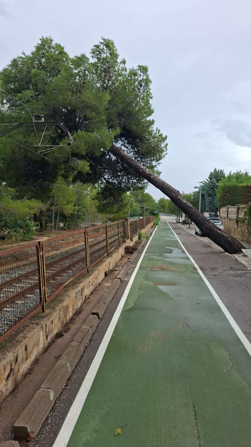 Imagen del rbol cado sobre la Lnea 2 facilitada por Ferrocarrils de la Generalitat (FGV).EPDA