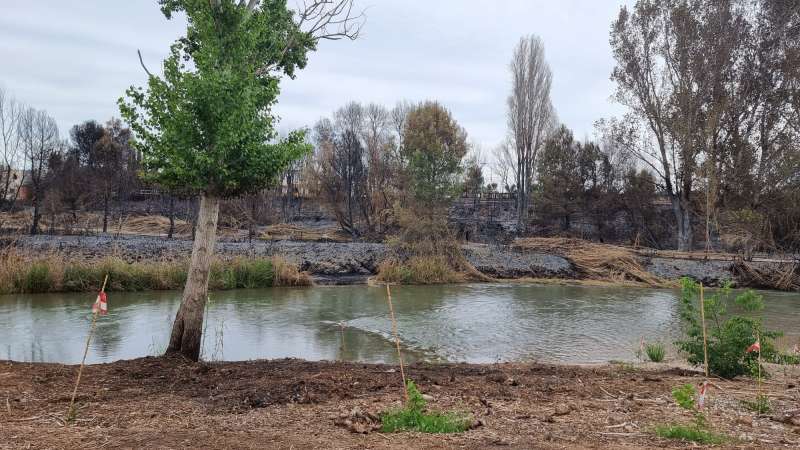 Incendio en el Parque Natural del Turia. EPDA