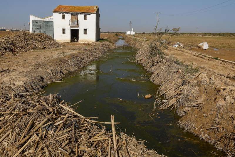 Campos de arroz destrozados por el barro de la dana en la Albufera de Valencia, en una imagen de archivo. EFEJos Manuel Vidal
