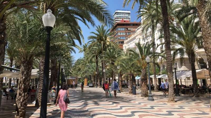 Esta patronal hotelera de Alicante excluye a los establecimientos de Benidorm y su entorno. /EPDA