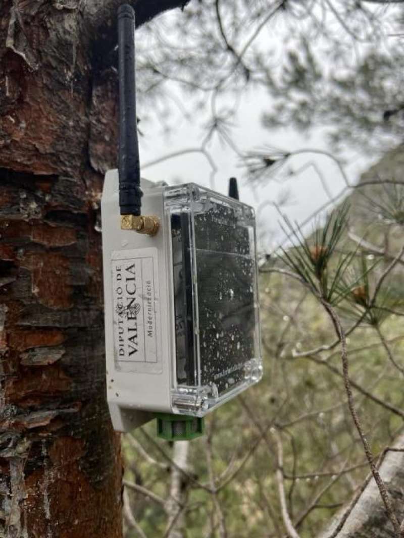 Sensores forestales inteligentes instalados en Gtova.EPDA