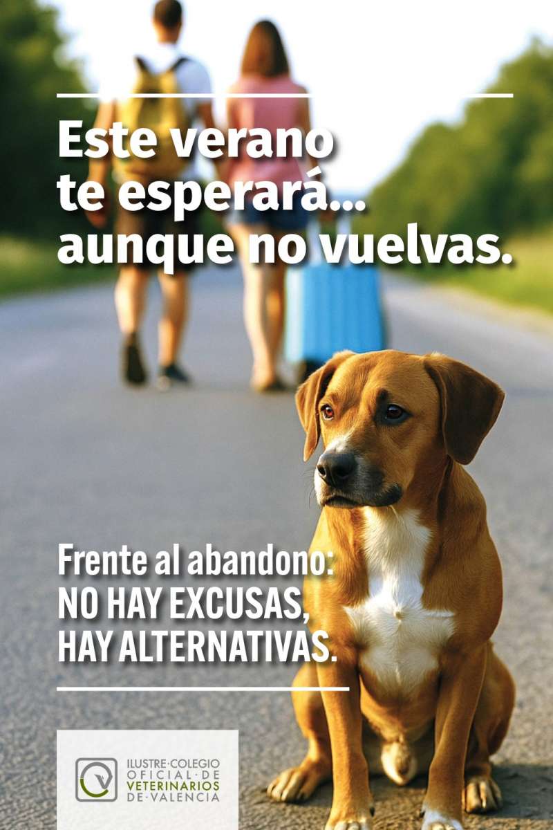  Imgenes de la campaa contra el abandono del IVOVV
