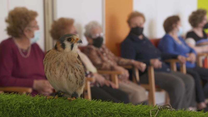 Imagen de Animalades. EPDA