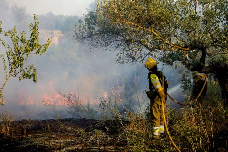Medios terrestres trabajan en un incendio. Archivo/EFE/ Domenech CastellÃ³