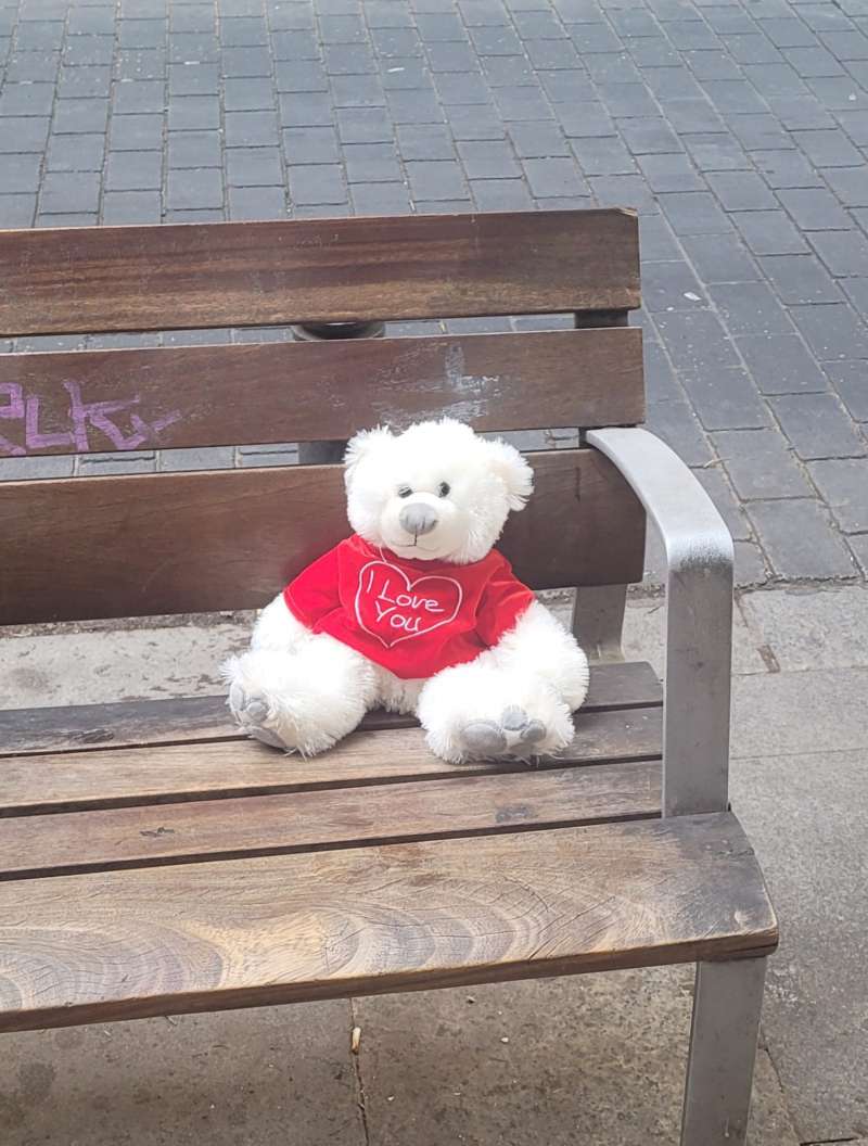 Un oso de peluche abandonado en un banco.  EPDA