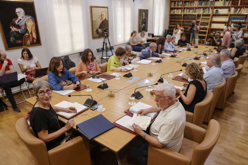 Un pleno del Consell Valenci de Cultura. EFEManuel Bruque