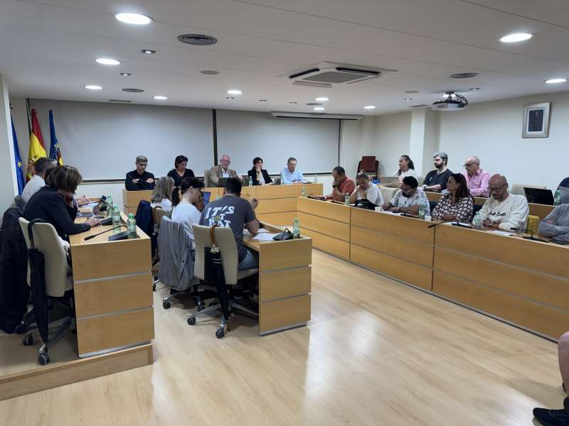 El ple aprova la creaci de lOficina dEmergncies. EPDA