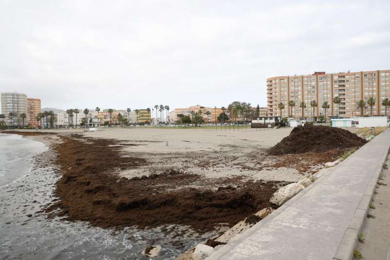 Imagen de archivo de una playa tras un temporal. EFE  A.Carrasco Ragel Archivo
