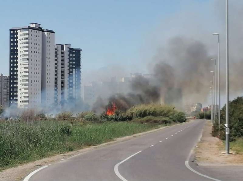 El incendio provocado en el marjal de El Puig. EPDA