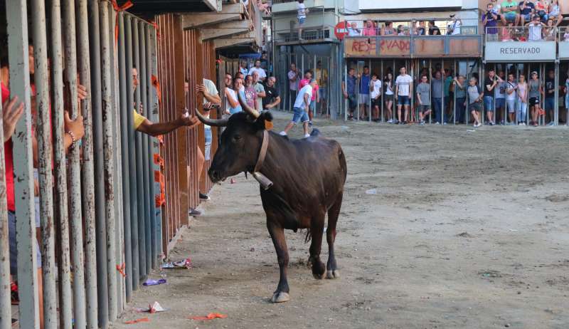 Los toros llenan estos dÃ­as los pueblos del Palancia. Foto:Archivo