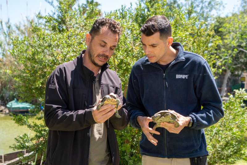 Mediante charlas educativas y divulgaciÃ³n, el objetivo es concienciar sobre este grave problema que afecta al 60% de las extinciones mundiales de plantas y animales. /EPDA