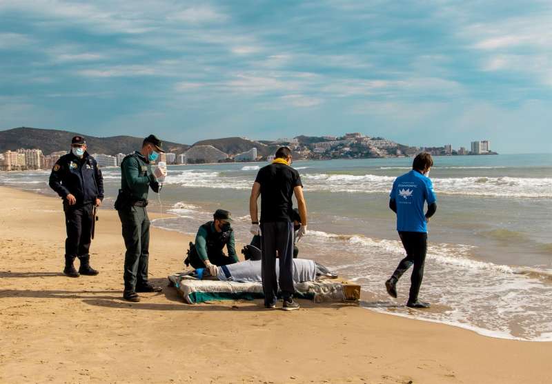 Esta maÃ±ana ha aparecido un delfÃ­n desorientado en la bahÃ­a de Cullera, que ha sido rescatado y devuelto al mar por el equipo de veterinarios del OceanogrÃ fic, Guardia Civil y Seprona, y la PolicÃ­a Local. EFE