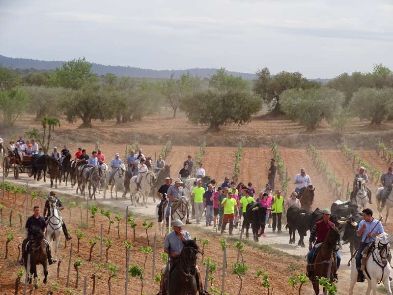 Foto archivo de una jornada de trashumancia anterior.EPDA