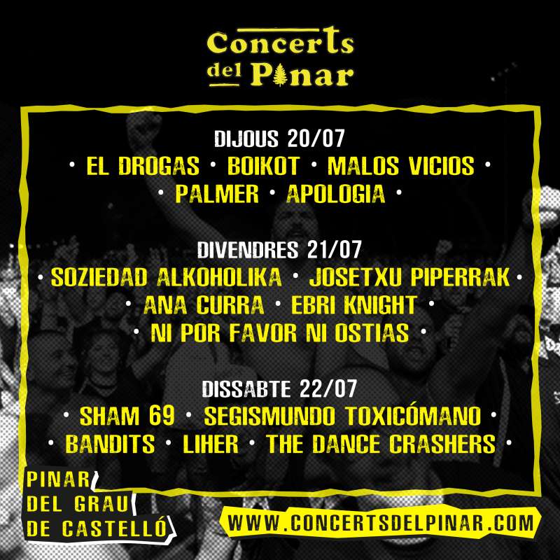 Concerts del Pinar. /EPDA