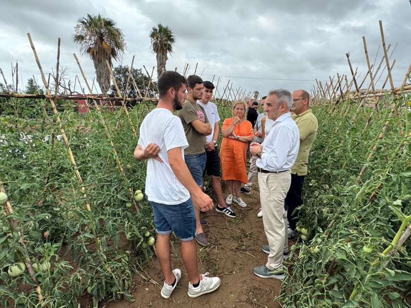 Miguel Barrachina ha subrayado que las subvenciones contemplan incentivos de hasta 80.000 euros para jvenes que se inicien en el sector agrario, as como de hasta 70.000 euros para aquellos entre 41 y 56 aos que se incorporen como nuevos agricultores o ganaderos