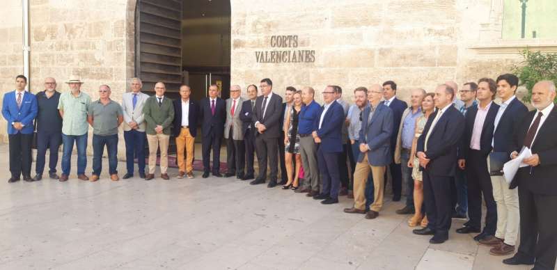 Juristes valencians en Les Corts
