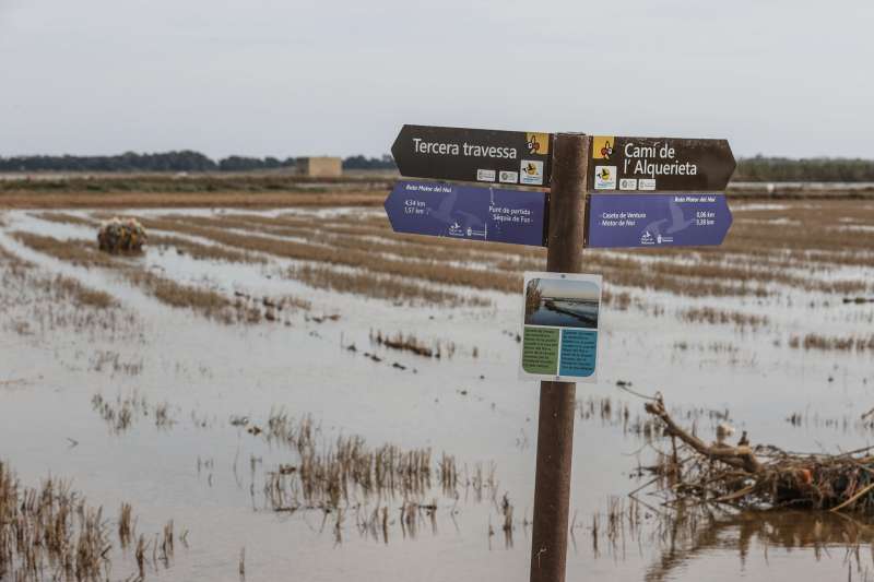 Campos de arroz de la Albufera de Valncia despus de la dana. EFEManuel Bruque
