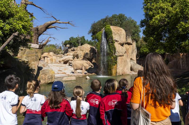 Grupo escolar observando los elefantes de Bioparc Valencia.EPDA