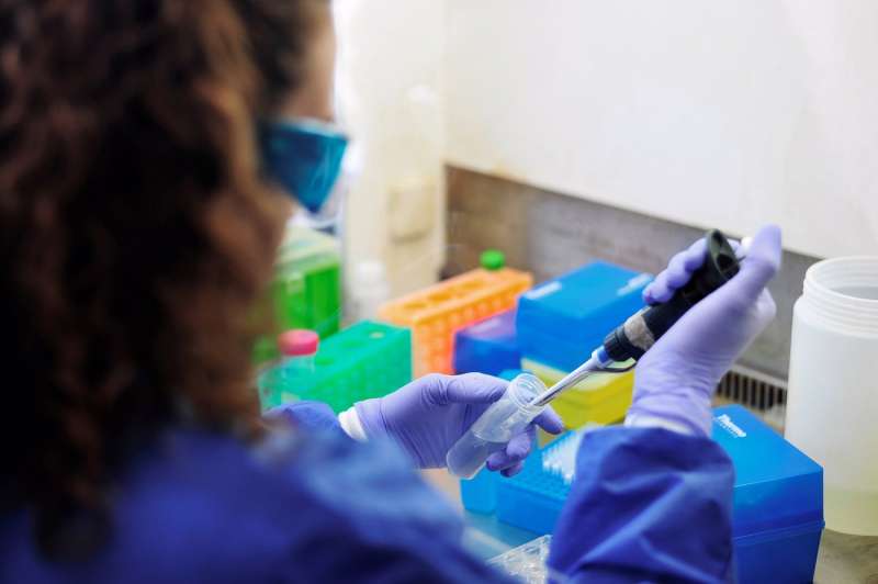 Investigadores de Microbiología analizando unas muestras. Archivo/EFE/Diego Pérez Cabeza
