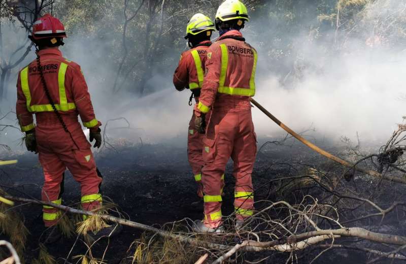 Los bomberos extinguen el incendio de Rafelguaraf. / EPDA