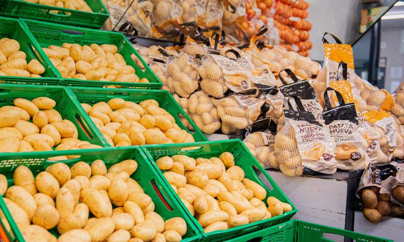 Mercadona ofrece ya en todas sus tiendas patata nacional en tres formatos: a granel, malla de 3 kilos y malla de 5 kilos. Conforme avance la campaa, la ir incorporando en el resto del surtido de patatas