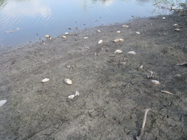 Imatge dels estanys. FOTO: EPDA  Imatge dels estanys. FOTO: EPDA