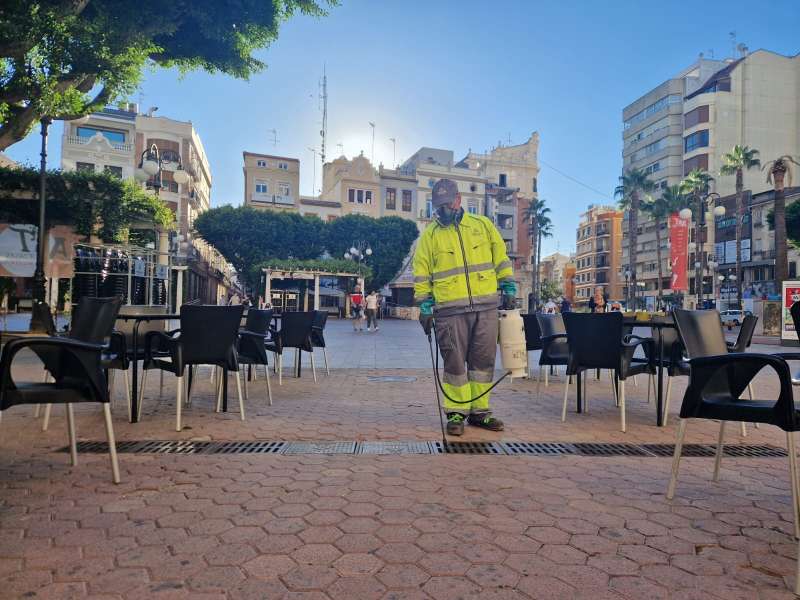 Alzira se blinda contra las plagas en edificios y alcantarillado con tratamientos preventivos.  EPDA